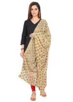 Net Embroidered Chiffon Phulkari Dupatta Chunni with Pranda for Women and Girls