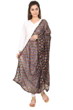Net Embroidered Chiffon Phulkari Dupatta Chunni with Pranda for Women and Girls - Image 4
