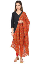 Net Embroidered Chiffon Phulkari Dupatta Chunni with Pranda for Women and Girls - Image 5