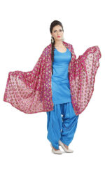 Net Embroidered Chiffon Phulkari Dupatta Chunni with Pranda for Women and Girls - Image 8