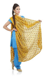 Net Embroidered Chiffon Phulkari Dupatta Chunni with Pranda for Women and Girls - Image 10