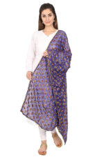 Net Embroidered Chiffon Phulkari Dupatta Chunni with Pranda for Women and Girls - Image 11