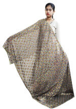 Net Embroidered Chiffon Phulkari Dupatta Chunni with Pranda for Women and Girls - Image 14